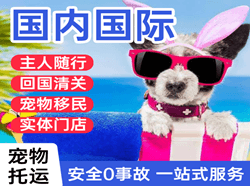 武夷山机场快运国际宠物托运 【国